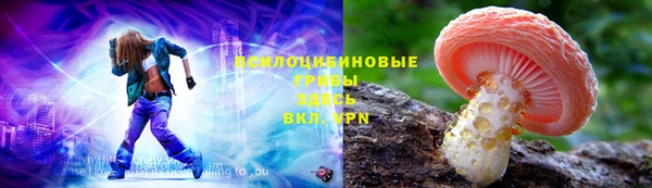 прущие грибы Алексин
