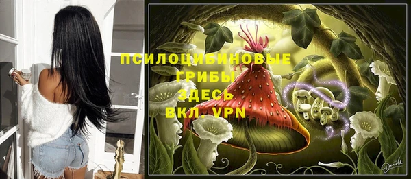 ПСИЛОЦИБИНОВЫЕ ГРИБЫ Абдулино