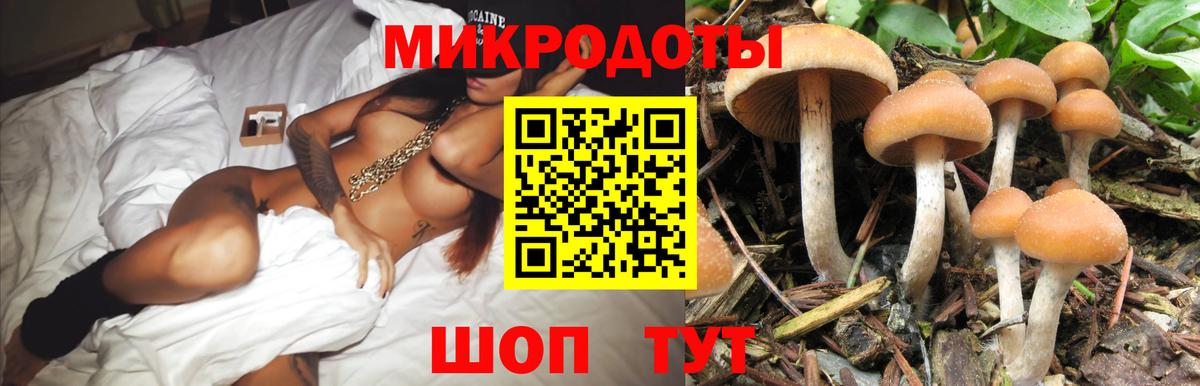 Киров  Галлюциногенные грибы прущие грибы  купить наркотик  Вход с VPN 