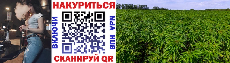 хочу   OMG рабочий сайт  Бошки марихуана THC 21%  Киров 